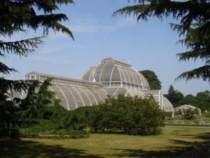 he Great Stove, the palmhouse at Kew Gardens by Decimus Burton (1845-6)