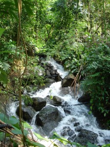 Eden Rain waterfall